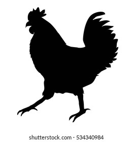 cock bird, rooster silhouette - vector illustration