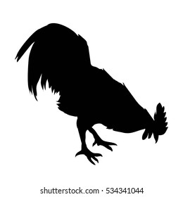 cock bird, rooster silhouette - vector illustration