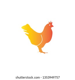 cock bird in white background