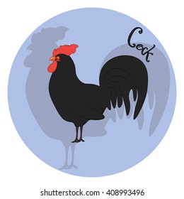 Cock Chinese Happy New Year. Vector Illustration. Animal  Cock symbol of the New Year 2017. Lunar new year. Symbol of year on Chinese calendar. 