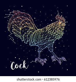 cock. constellation. year fire rooster, vector
