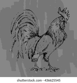 Cock. Drawing by hand a rooster on a shabby background for the New Year. Vector illustration