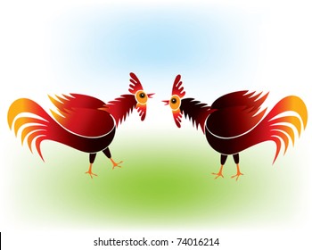 Cock fighting