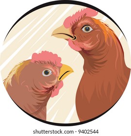  cock and hen	
