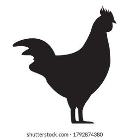 cock and hen black and white