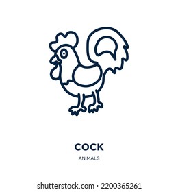 cock icon from animals collection. Thin linear cock, farm, chicken outline icon isolated on white background. Line vector cock sign, symbol for web and mobile