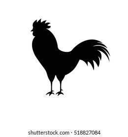 Cock icon  isolated a on white background