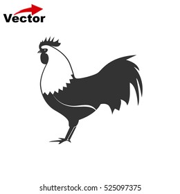 cock icon, vector chicken logo, isolated hen icon