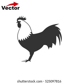 cock icon, vector chicken logo, isolated hen icon