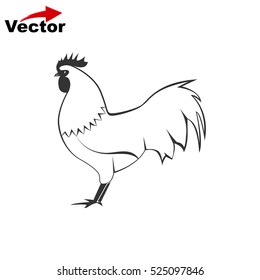 cock icon, vector chicken logo, isolated hen icon