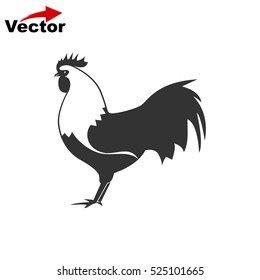 cock icon, vector chicken logo, isolated hen icon