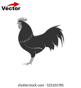 cock icon, vector chicken logo, isolated hen icon