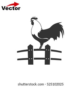 cock icon, vector chicken logo, isolated hen icon