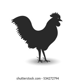Cock, icon. Vector illustration