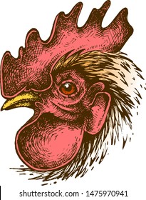 Cock. Ink drawing. Vector illustration.