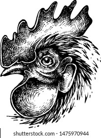 Cock. Ink drawing. Vector illustration.