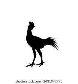 Cock mascot black silhouette vector