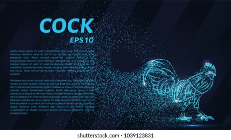 Cock of the particles. The cock consists of circles and points. Vector illustration.