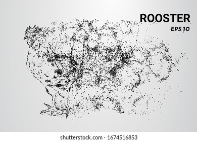 Cock of the particles. The rooster consists of circles and dots. The rooster splits into molecules.