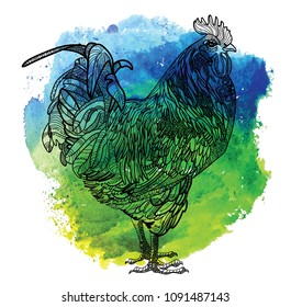 Cock. Pets. Spotted bird. Ethnic pattern. Meditative coloring. Mandala, dudling drawing. Drawing from the hand. Points, stripes, arrows, flowers.