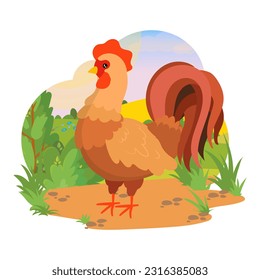 Cock. Rooster. Agricultural animals. Domestic birds. Village. Farm. Vector illustration on a white background.