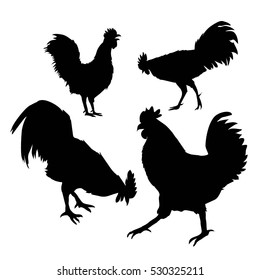 cock, rooster silhouette - vector illustration