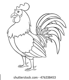 Cock or rooster. Vector illustration on a light background.