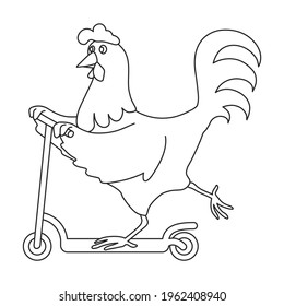 Cock rooster vector outline icon. Vector illustration rooster on white background. Isolated outline illustration icon of cock .