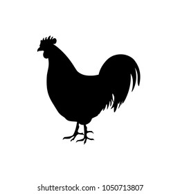 Cock silhouette. Vector illustration isolated on white background