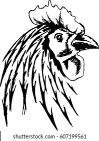 Cock sketch white