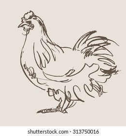 cock vector, hand draw sketch 