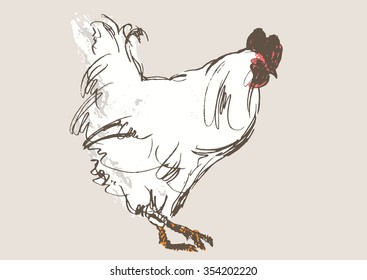 cock vector, hand draw sketch 