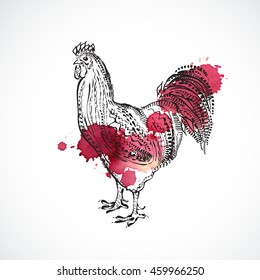 Cock vector, hand draw sketch