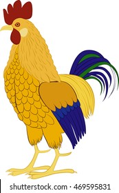 Cock vector illustration of rooster isolated on white background