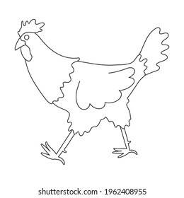 Cock vector outline icon. Vector illustration rooster on white background. Isolated outline illustration icon of cock.