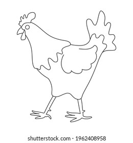 Cock vector outline icon. Vector illustration rooster on white background. Isolated outline illustration icon of cock.