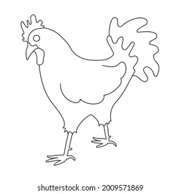 Cock vector outline icon. Vector illustration rooster on white background. Isolated outline illustration icon of cock.