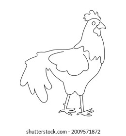Cock vector outline icon. Vector illustration rooster on white background. Isolated outline illustration icon of cock.