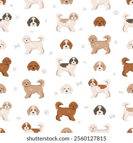 Cockachon seamless pattern. Cocker Spaniel Bichon Frise mix. Different coat colors set.  Vector illustration