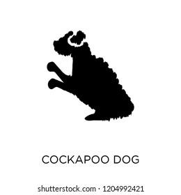 Cockapoo dog icon. Cockapoo dog symbol design from Dogs collection. Simple element vector illustration on white background.