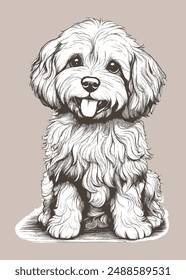 Un perro hembra de cacahuete de dibujos animados esponjoso con el pelo dorado. Muy lindo. Posición sentada.Vector Ilustraciones de perros , Dibujo a mano