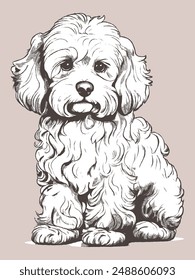 A cockapoo dog. Very cute. Sitting position.Vector Dog illustrations , Hand Draw