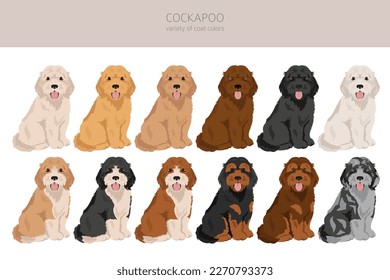 Cockapoo mix breed clipart. Different poses, coat colors set.  Vector illustration