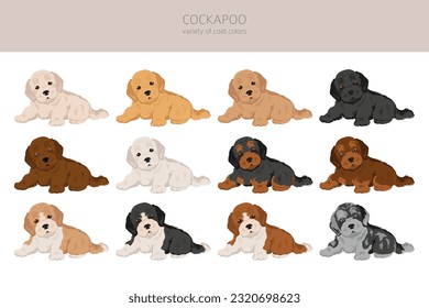 Cockapoo mix breed puppies clipart. Different poses, coat colors set.  Vector illustration