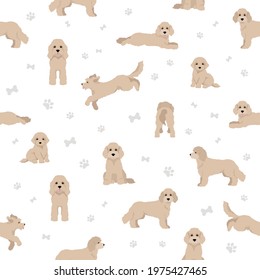 Cockapoo mix breed seamless pattern. Different poses, coat colors set.  Vector illustration