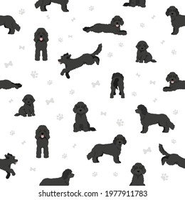 Cockapoo mix breed seamless pattern. Different poses, coat colors set.  Vector illustration