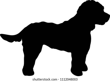 2,913 Cockapoo Images, Stock Photos & Vectors | Shutterstock