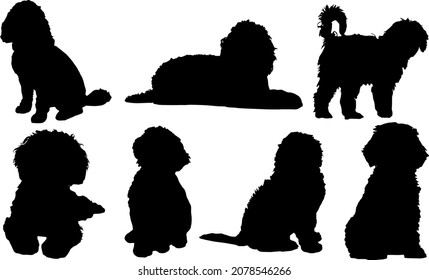 Cockapoo Silhouettes SVG Cocker Spaniel SVG