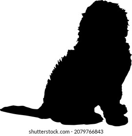 Cockapoo Silhouettes SVG Cocker Spaniel SVG