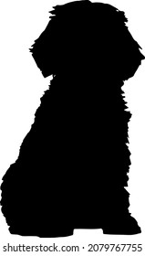 Cockapoo Silhouettes SVG Cocker Spaniel SVG